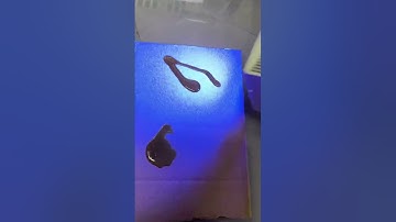 365nm UV Glue LED Lamp Curing