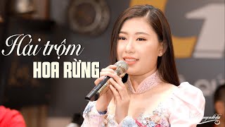 Hái Trộm Hoa Rừng - Giọng ca trầm ấm nghe là ghiền Mộc Anh (Official MV)