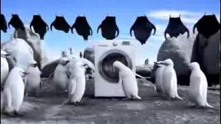 Green Health Plus Upgrade you life in every way