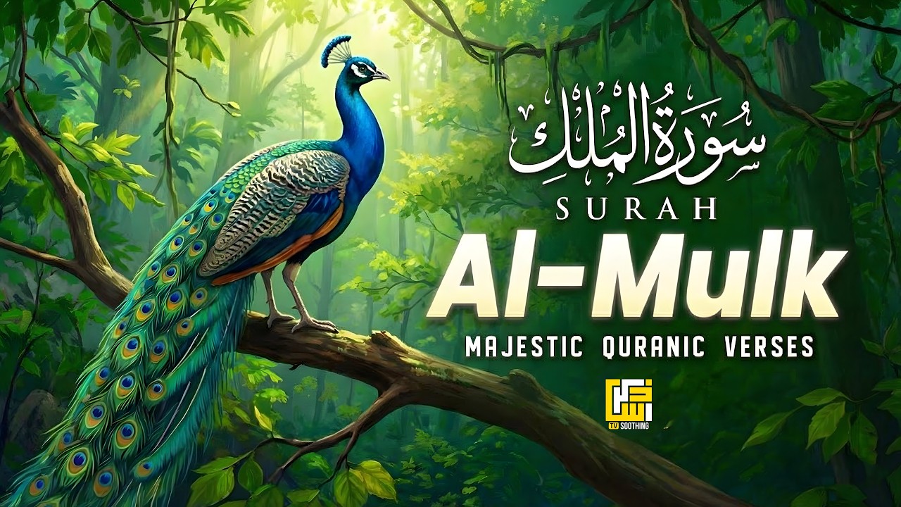 Surah Al-Mulk (سورة الملك) | Ultimate Lofi Night Quran for Calm & Protection #lofiquran
