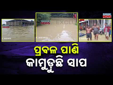 Bhadrak Flood Update | ODRAF Rescues Elderly Man and Snakebite Patient