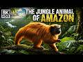 THE JUNGLE ANIMAL OF AMAZON | Stunning Wildlife in 8K HDR