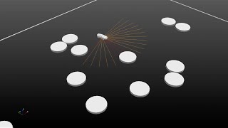 Reinforcement Learning for Autonomous Driving Obstacle Avoidance using LIDAR