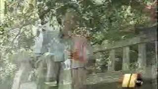 Falun Gong Report on WTVD-11 (ABC News), Durham, North Carol
