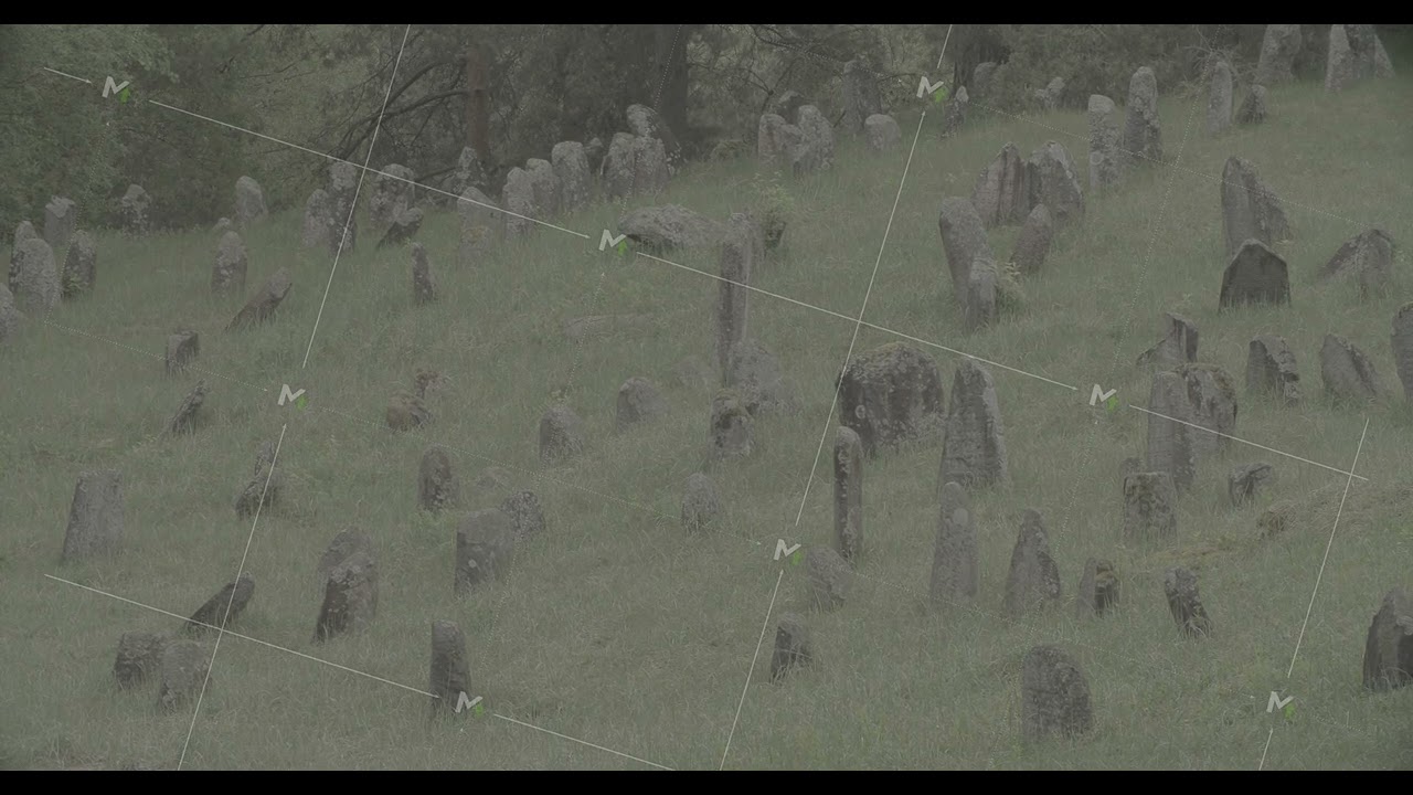 Old ancient Jewish cemetery in summer spring day. Druya, Belarus. green grass and many ancient