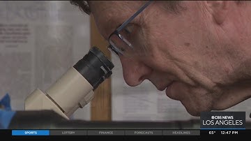 STEAM: Highlighting CalTech Dr. Kenneth Libbrecht, a snowflake physicist