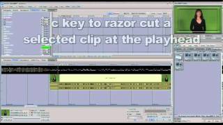 Famous SpeedEDIT 2 Training Part 11: Audio Wealth