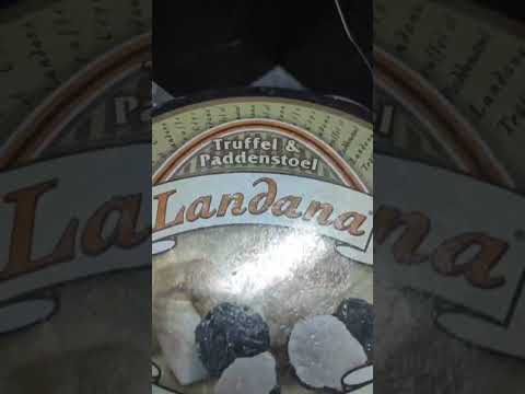 Сыр ЛАНДАНА ТРЮФЕЛЬ с ГРИБАМИ I LANDANA TRUFFLE & MUSHROOM I Хамон и сыр.