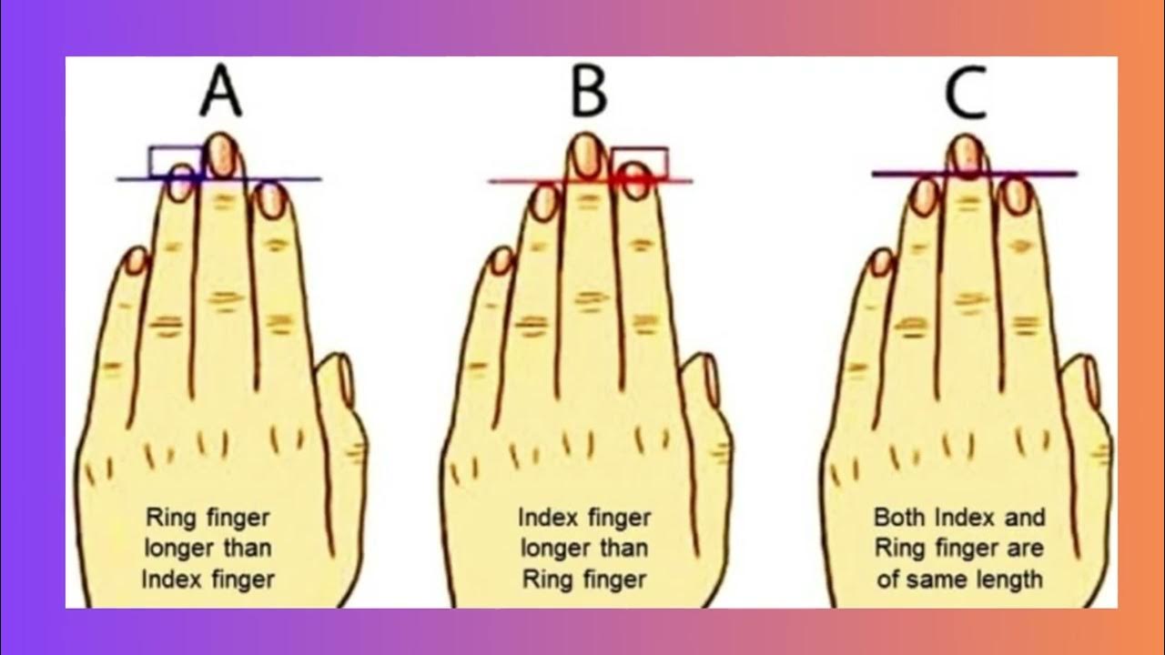 THINGS YOUR FINGER LENGTH REVEAL ABOUT YOU YouTube