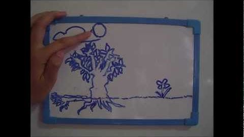 Trigonometry - Application of Right Triangles