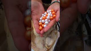 Beauty, open this clam, there are too many pearls #pearl #pearlhunter #fishing