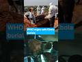 WHO urges safe Ebola burials