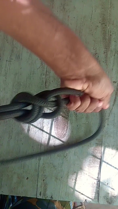 How To Tie Double Sheet Bend knot | scouts knots | knots master knots😱#shortvideo