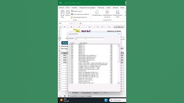 Filtrar registros en formulario de Excel #excelavanzado #tutorial #macros #vba #formulariosvbaexcel