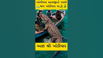 Magar khodiyar Maa 🐊 #maa #khodiyaar #shorts #viral