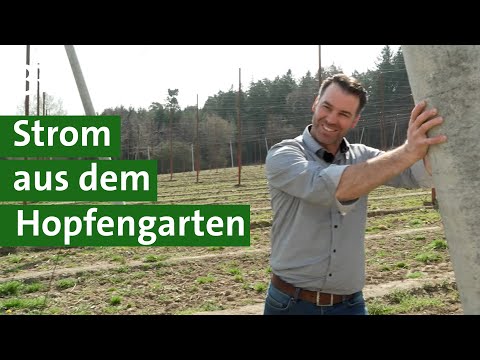 Video: Was ist ein Hopfengarten?