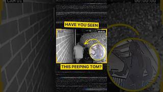 Have You Seen This Peeping Tom?