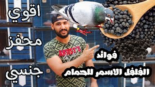 فوائد الفلفل الاسود للحمام وطريقة استخدامه كأقوي محفز جنسي للذكور والاناث