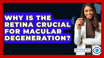 Why Is The Retina Crucial For Macular Degeneration? - Optometry Knowledge Base