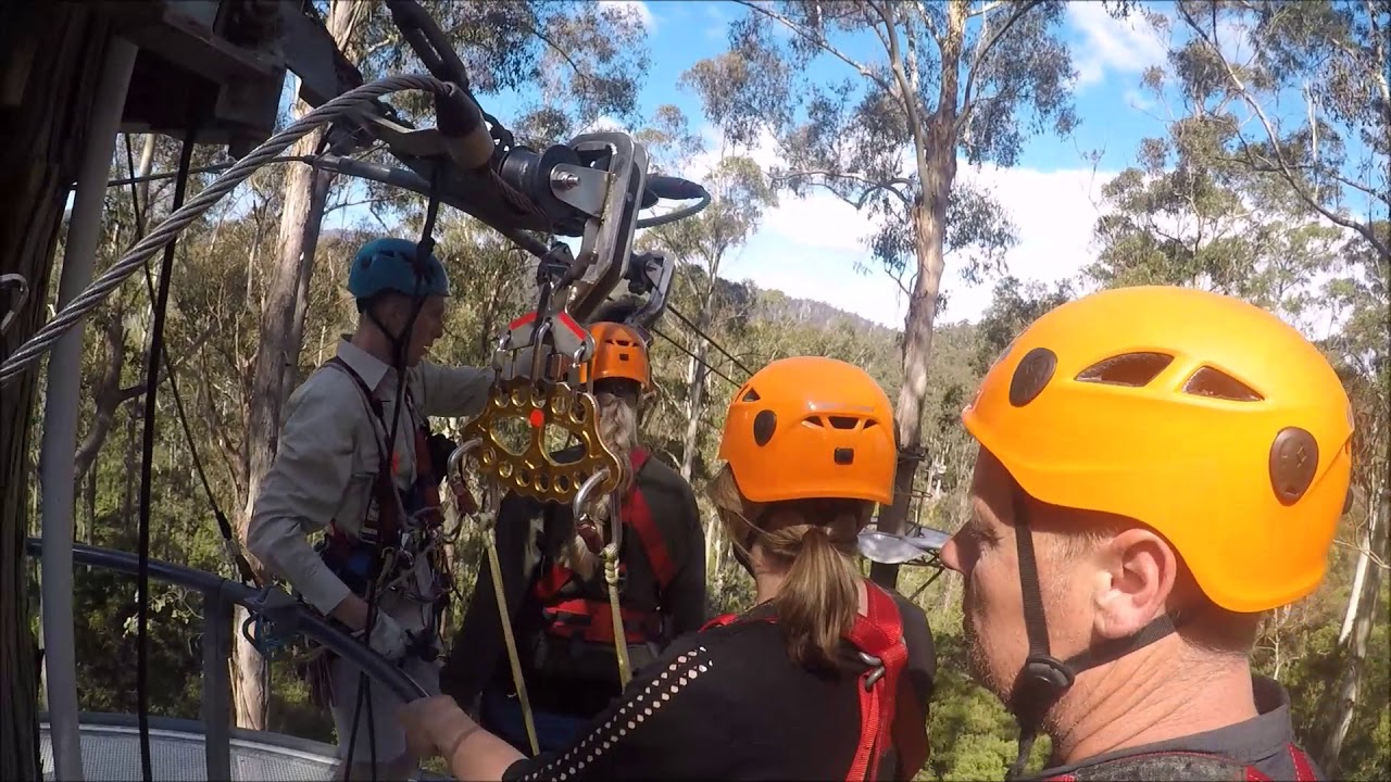 Hollybank Treetops Adventure 2017 - YouTube