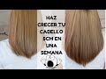 HAZ CRECER TU CABELLO 5CM CON ACEITE DE OLIVA EN UNA SEMANA😱 FUNCIONA??? | MODO MAYA (DIY)