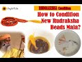 Conditioning of Rudrakshas ISHA FOUNDATION sadhguru condition new Rudraksha beads mala