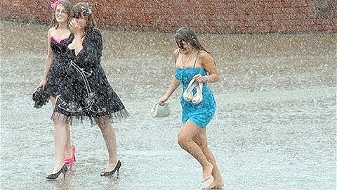 Model View Controller, deel 2 Ed van Gageldonk (Wet/DRY)