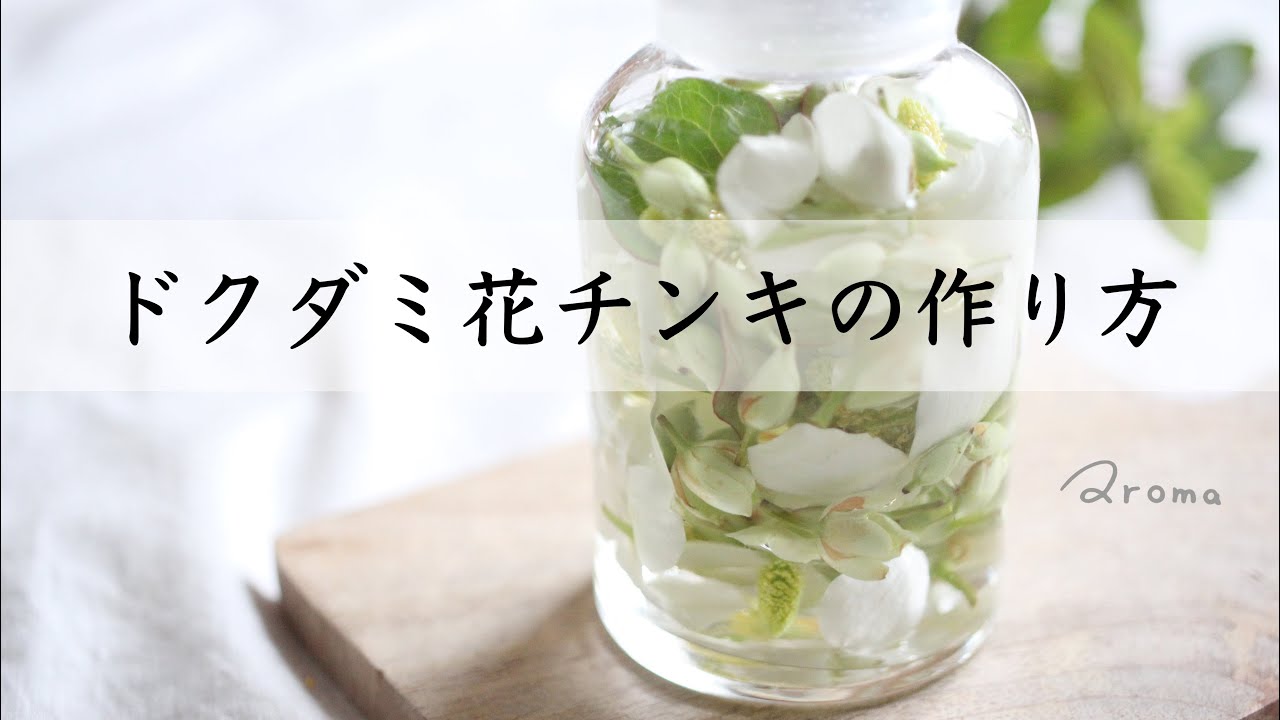 季節の手仕事 万能ドクダミのお花で化粧水作り ドクダミチンキの作り方 Youtube