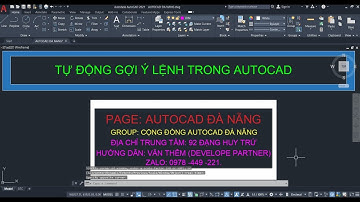 Lỗi Autocad hay gặp phải- Mất chức năng tự động gợi ý lệnh trong Autocad- Học Autocad