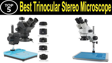 TOP 5 BEST Trinocular Stereo Microscope Review 2023