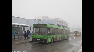 Автобус Минска МАЗ-105.065,гос.№ АА 9979-7, марш.107 (22.07.2019)