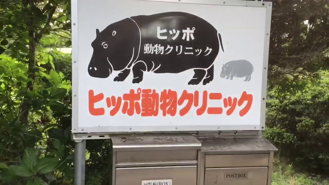 ヒッポ 動物 病院