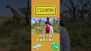 登陆非洲“无人岛”没想到这里竟酷似侏罗纪公园 #耀阳环游记 #非洲 #旅行 #穿越 #探险 #vlog