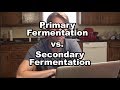 Primary vs. Secondary Fermentation: What's the Difference?