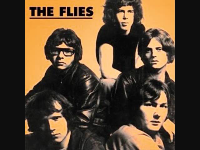 The Flies - I'm Not Your Stepping Stone