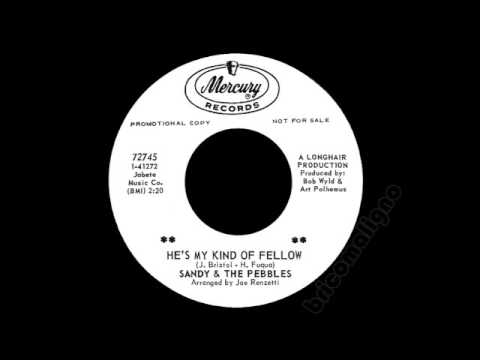Sandy & The Pebbles - He's My Kind Of Fellow