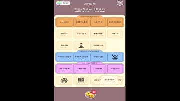 Connect Word Level 45