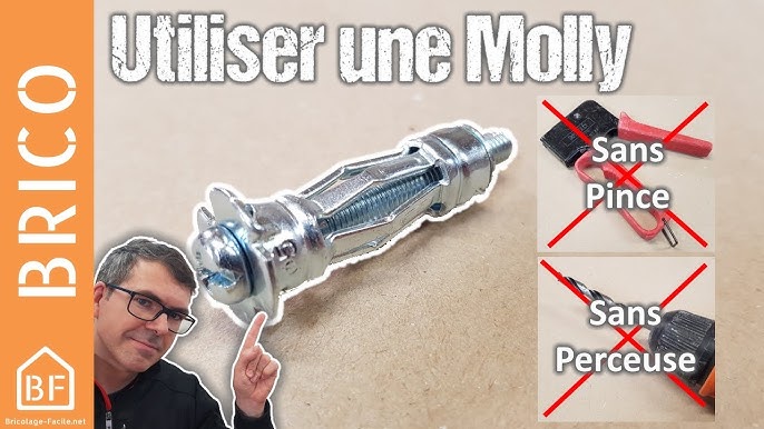 Conseils d'utilisation pour chevilles Molly et pince