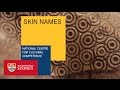 Aboriginal Kinship Presentation: Skin Names