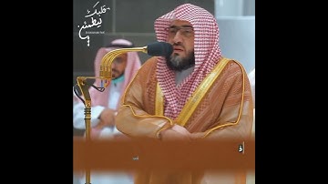 تلاوة تفكرية 🍂 ﴿وَهُزِّي إِلَيْكِ بِجِذْعِ النَّخْلَةِ﴾ الشيخ بندر بليلة 🤎