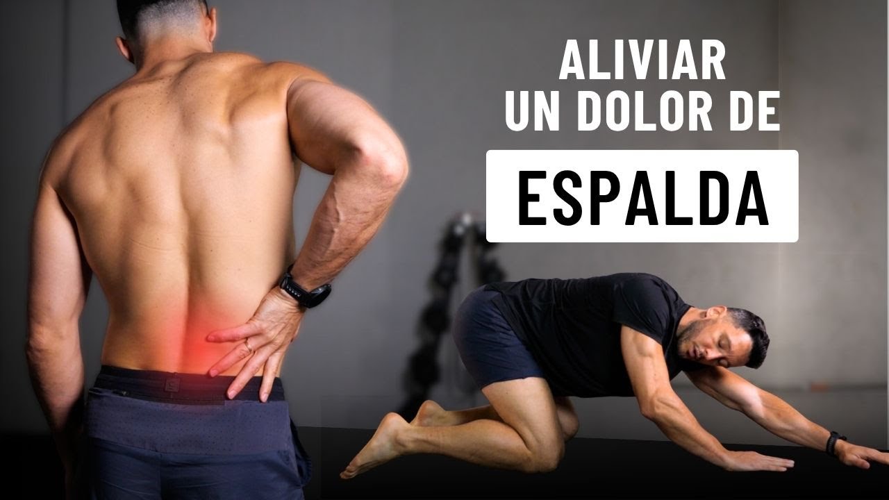 Rutina de ESTIRAMIENTOS para el dolor de ESPALDA (16 MIN ) - YouTube