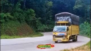 cumi cumi darat 😬🤟‼️story wa 30 detik