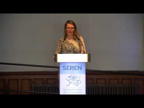 Digwyddiad Dathliad Seren | Seren Celebration Event