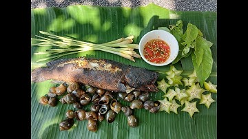 ###ÓcBươuLócĐồng#### Thử làm món Óc bươu + Lóc đông nướng rơm siêu ng0n 😋😋😋😋😋😋😋