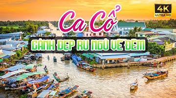 Vừa Nằm Vừa Nghe Ca Cổ Hơi Dài Ru Ngủ Về Đêm - Ca Cổ Cải Lương Xưa Dễ Nghe Dễ Ngủ🌾Tân Cổ Dân Ca