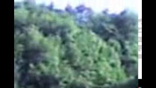 Sp Idrija Widok Z Sypialni