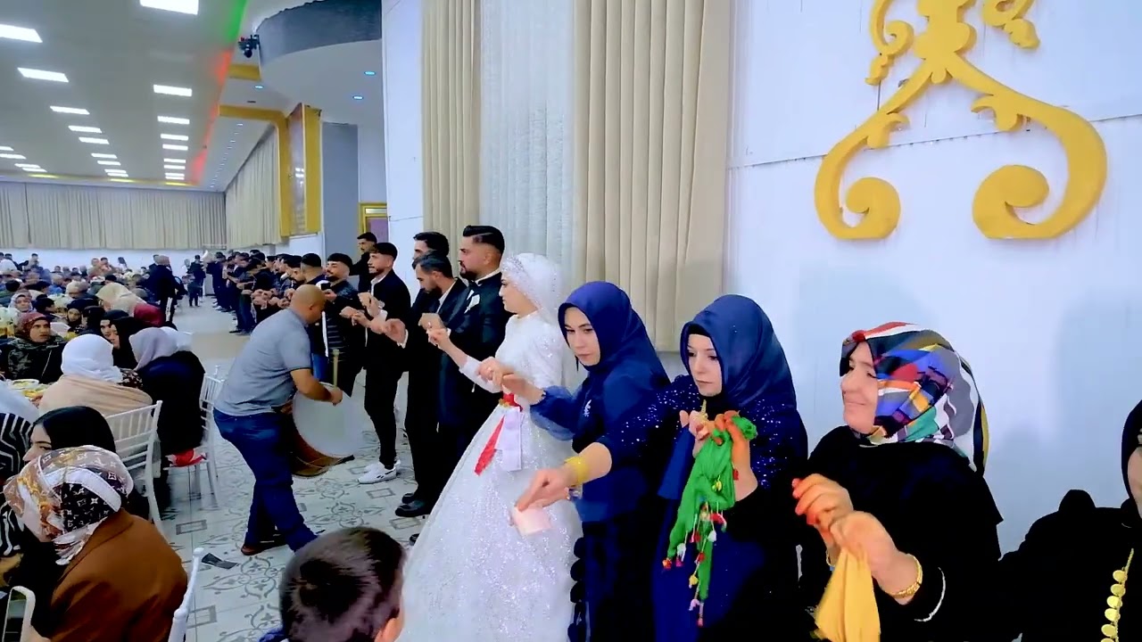 DEMİRBAŞ Wedding MAZLUM & Necla Doğubeyazıt düğünleri #kurdish #müzik #düğün 