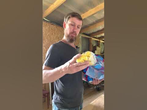 Сот Джентор для вывода пчелиных маток. - YouTube