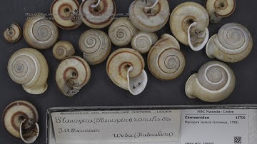 Getting Started with Omeka - 1