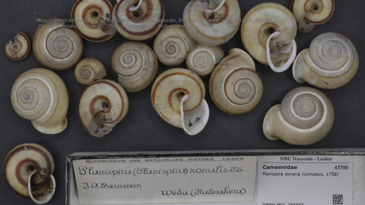 Getting Started with Omeka - 1